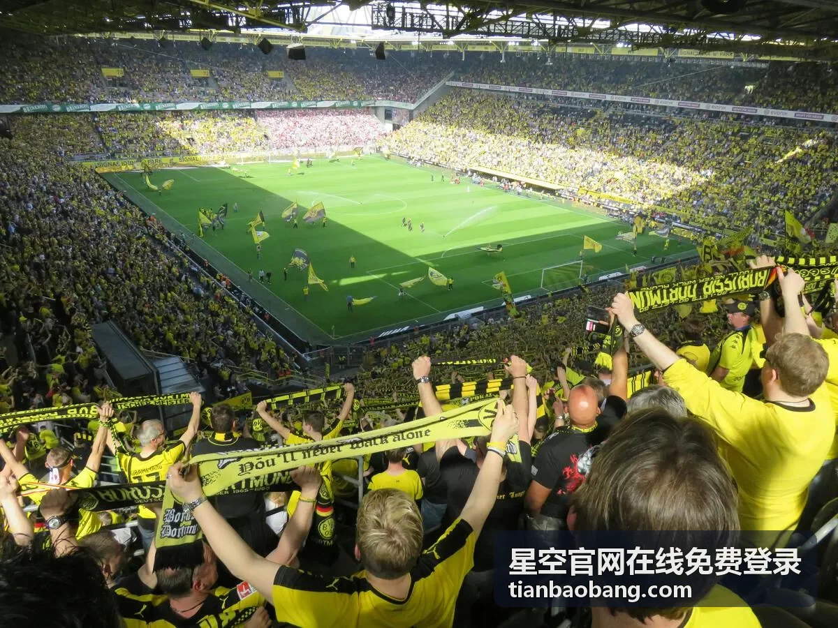 星空官网在线免费登录网页端界面入口