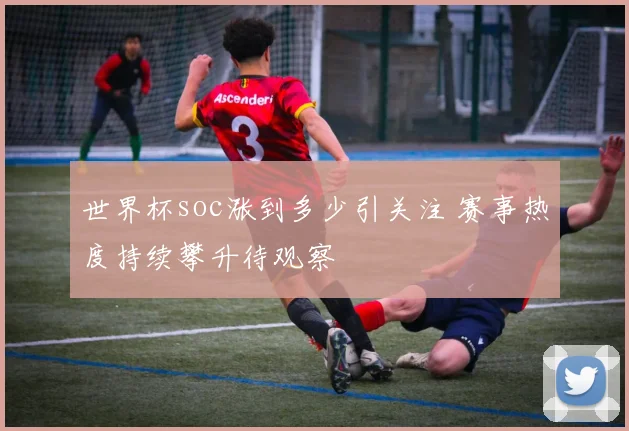 世界杯soc涨到多少引关注 赛事热度持续攀升待观察