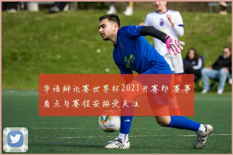华语辩论赛世界杯2021开赛即 赛事看点与赛程安排受关注